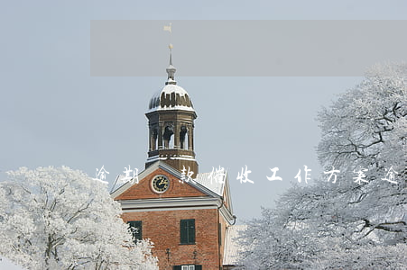 逾期貸款催收工作方案(逾期貸款催收措施)