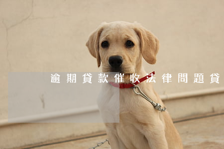 逾期貸款催收法律問題(貸款逾期催收流程)