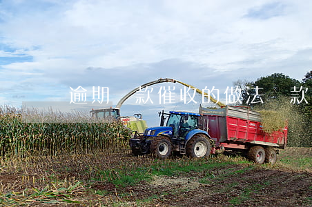 逾期貸款催收的做法(貸款逾期如何面對催收)