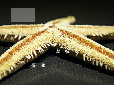 逾期貸款催收統(tǒng)計表(逾期貸款催收臺賬)