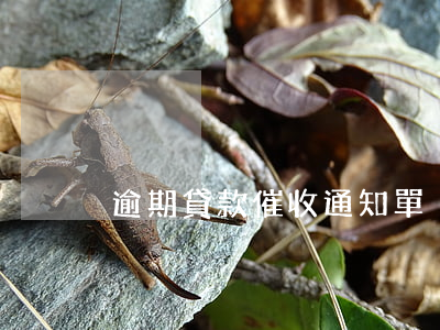 逾期貸款催收通知單