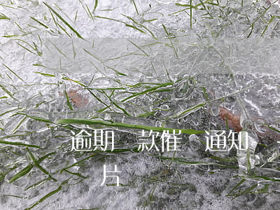 逾期貸款催繳通知書-逾期貸款催繳通知書圖片