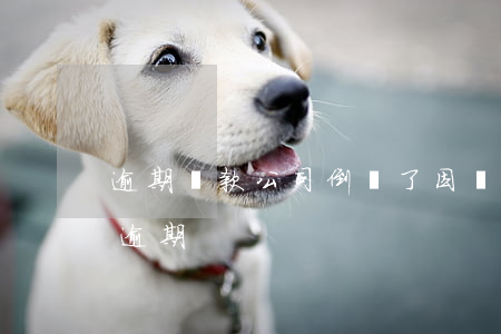 逾期貸款公司倒閉了(因為貸款公司出錯造成逾期)