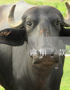 逾期貸款公司有權(quán)利爆光通訊錄嗎-網(wǎng)貸逾期了平臺(tái)有權(quán)利曝光通訊錄嗎