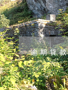 逾期貸款公告催收(銀行貸款催收公告)