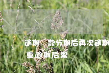 逾期貸款分期后再次逾期(分期嚴(yán)重逾期后果)