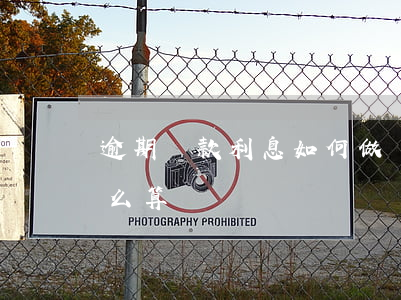 逾期貸款利息如何做賬(銀行逾期還款利息怎么算)