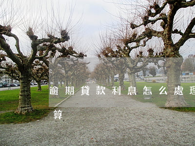 逾期貸款利息怎么處理(貸款逾期了利息怎么算)
