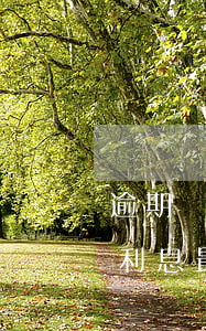 逾期貸款利息最新規(guī)定(貸款逾期利息最高多少)