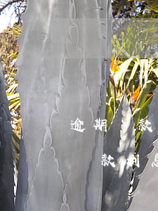 逾期貸款利息的增值稅法規(guī) 逾期貸款利息增值稅和所得稅的處理