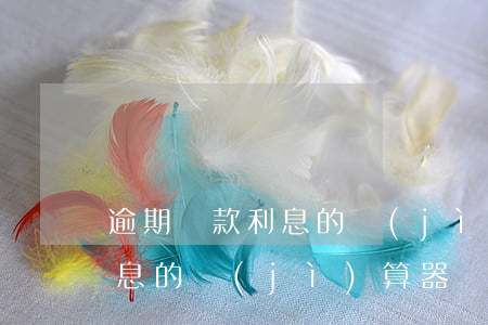 逾期貸款利息的計(jì)算器(逾期貸款利息的計(jì)算器)