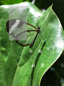 逾期貸款利息的計(jì)算（逾期付款貸款利息計(jì)算公式）