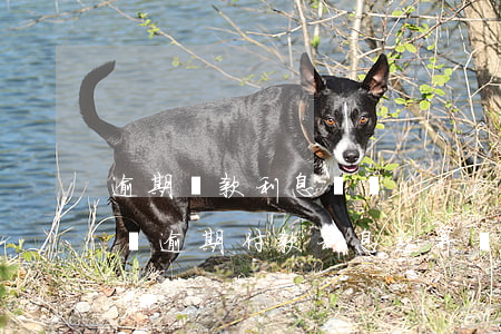 逾期貸款利息確認(rèn)時(shí)間(逾期付款利息起算時(shí)間)
