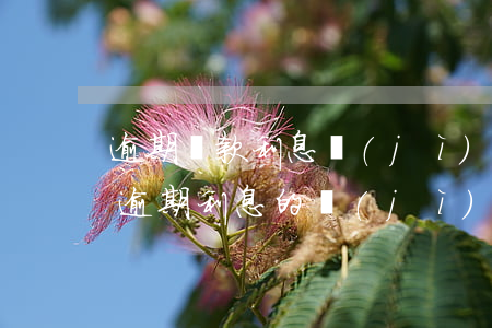 逾期貸款利息計(jì)算規(guī)定(逾期利息的計(jì)算)