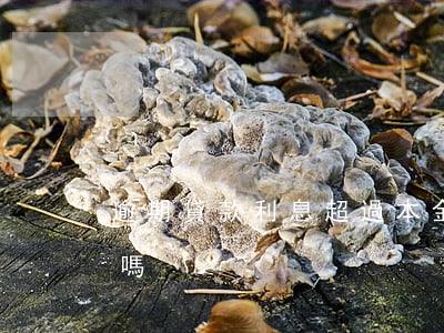 逾期貸款利息超過本金(逾期費超過本金合法嗎)