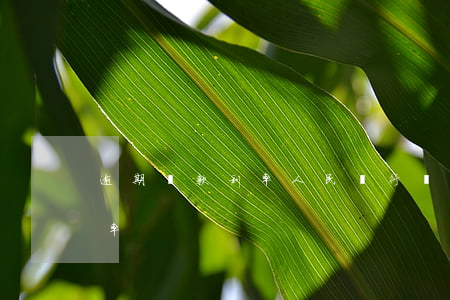 逾期貸款利率人民銀行(銀行同期逾期貸款利率)