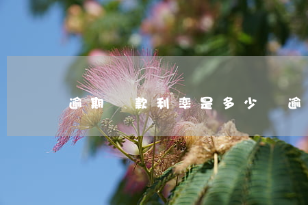 逾期貸款利率是多少錢(逾期貸款利率是多少錢)