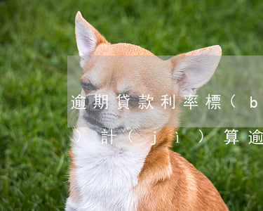 逾期貸款利率標(biāo)準(zhǔn)計(jì)算(逾期貸款利息計(jì)算正確的是)