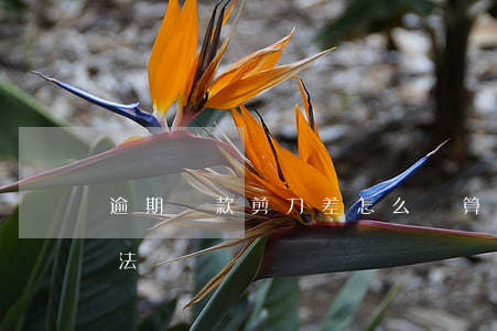 逾期貸款剪刀差怎么計算(逾期剪刀差計算方法)