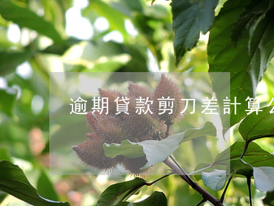逾期貸款剪刀差計算公式
