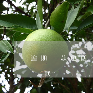 逾期貸款包括不良貸款嗎(逾期貸款包括不良貸款嗎)