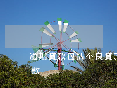 逾期貸款包括不良貸款(逾期貸款包括不良貸款)