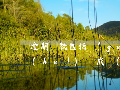 逾期貸款包括關(guān)注類（逾期了會(huì)變成關(guān)注類貸款）