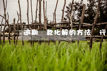 逾期貸款化解的方法(銀行貸款逾期怎么解決)