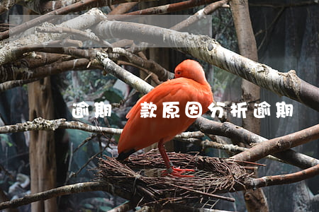 逾期貸款原因分析 逾期貸款原因分析模板