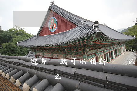 逾期貸款可以借新還舊么(逾期貸款可以借新還舊么)