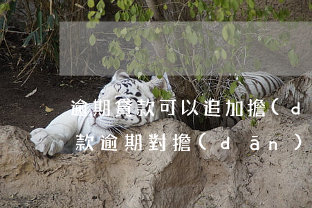 逾期貸款可以追加擔(dān)保嗎(銀行貸款逾期對擔(dān)保人有影響嗎)