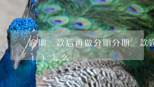 逾期貸款后再做分期(分期貸款逾期會(huì)怎么樣)