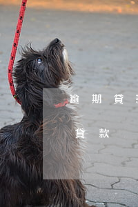 逾期貸款后果-網(wǎng)貸逾期影響貸款