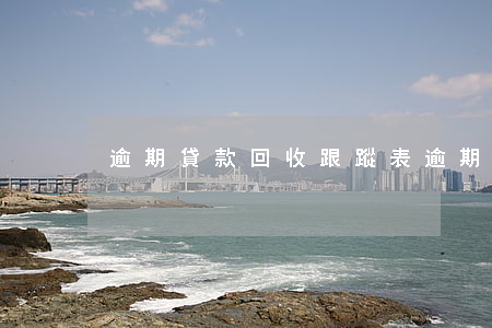 逾期貸款回收跟蹤表(逾期貸款回收率)