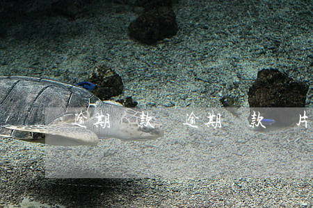 逾期貸款圖，逾期貸款圖片