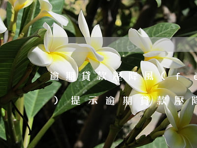 逾期貸款壓降風(fēng)險(xiǎn)提示(逾期貸款壓降風(fēng)險(xiǎn)提示)
