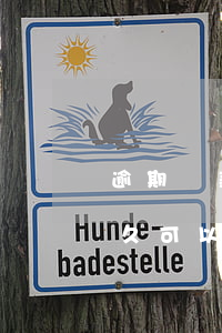 逾期貸款多久后能在貸款(貸款逾期還上后,多久可以貸款)