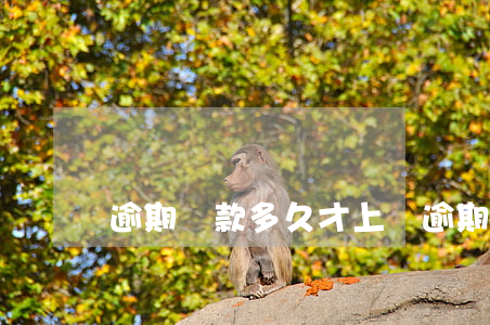 逾期貸款多久才上門(逾期久了會不會上門)
