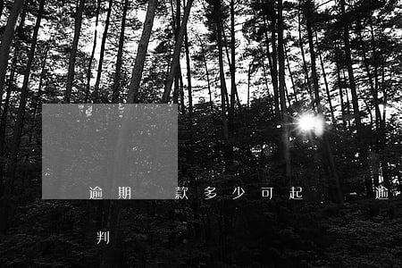 逾期貸款多少可起訴-逾期貸款法院會怎樣判