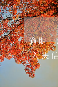逾期貸款多少會納入失信(逾期貸款多少會納入失信)