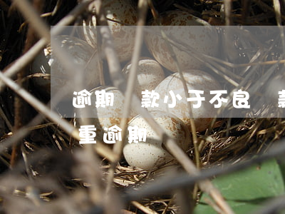 逾期貸款小于不良貸款么(貸款嚴(yán)重逾期)