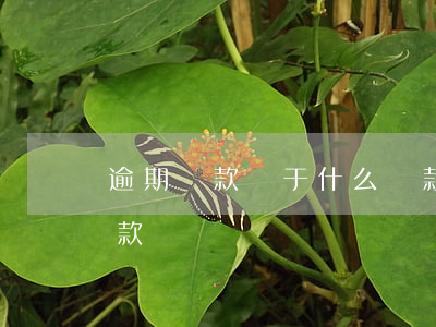逾期貸款屬于什么貸款(逾期貸款屬于什么貸款)