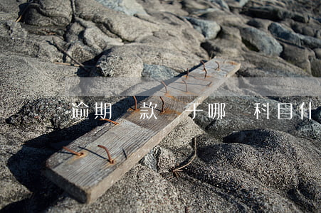 逾期貸款屬于哪個科目(什么是貸款逾期)