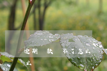逾期貸款帶不了怎么辦(貸款不小心逾期了怎么辦)