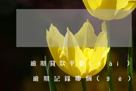 逾期貸款平臺(tái)哪個(gè)好(有逾期記錄哪個(gè)平臺(tái)可以貸款)