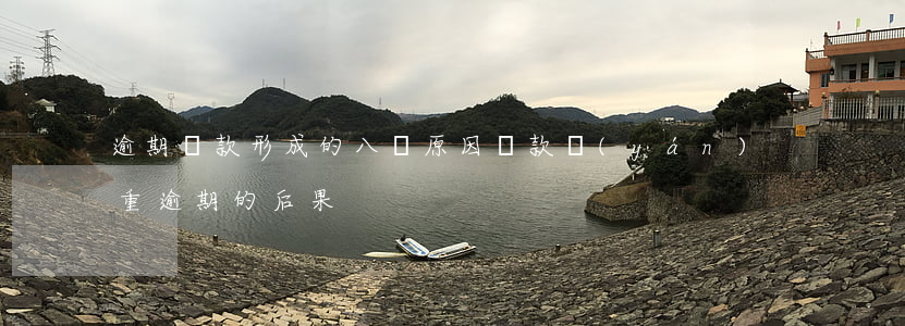 逾期貸款形成的八個原因(貸款嚴(yán)重逾期的后果)