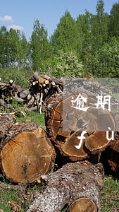 逾期貸款復(fù)利的利率 逾期貸款復(fù)利的利率是多少