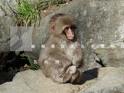 逾期貸款怎么不還利息(銀行貸款利息逾期了怎么辦)
