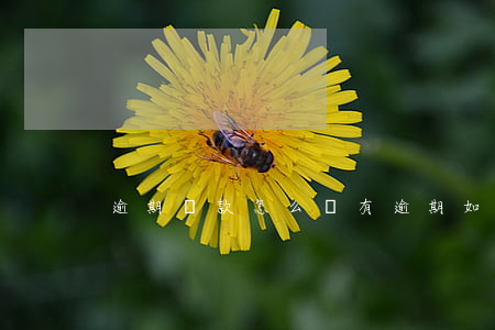 逾期貸款怎么樣 有逾期如何貸款