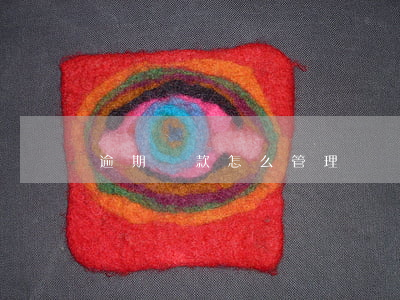 逾期貸款怎么管理